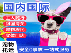 长白山航空托运国际宠物托运 【国